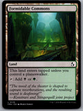 Formidable Commons