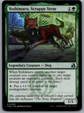 Yoshimaru, Scrappy Stray