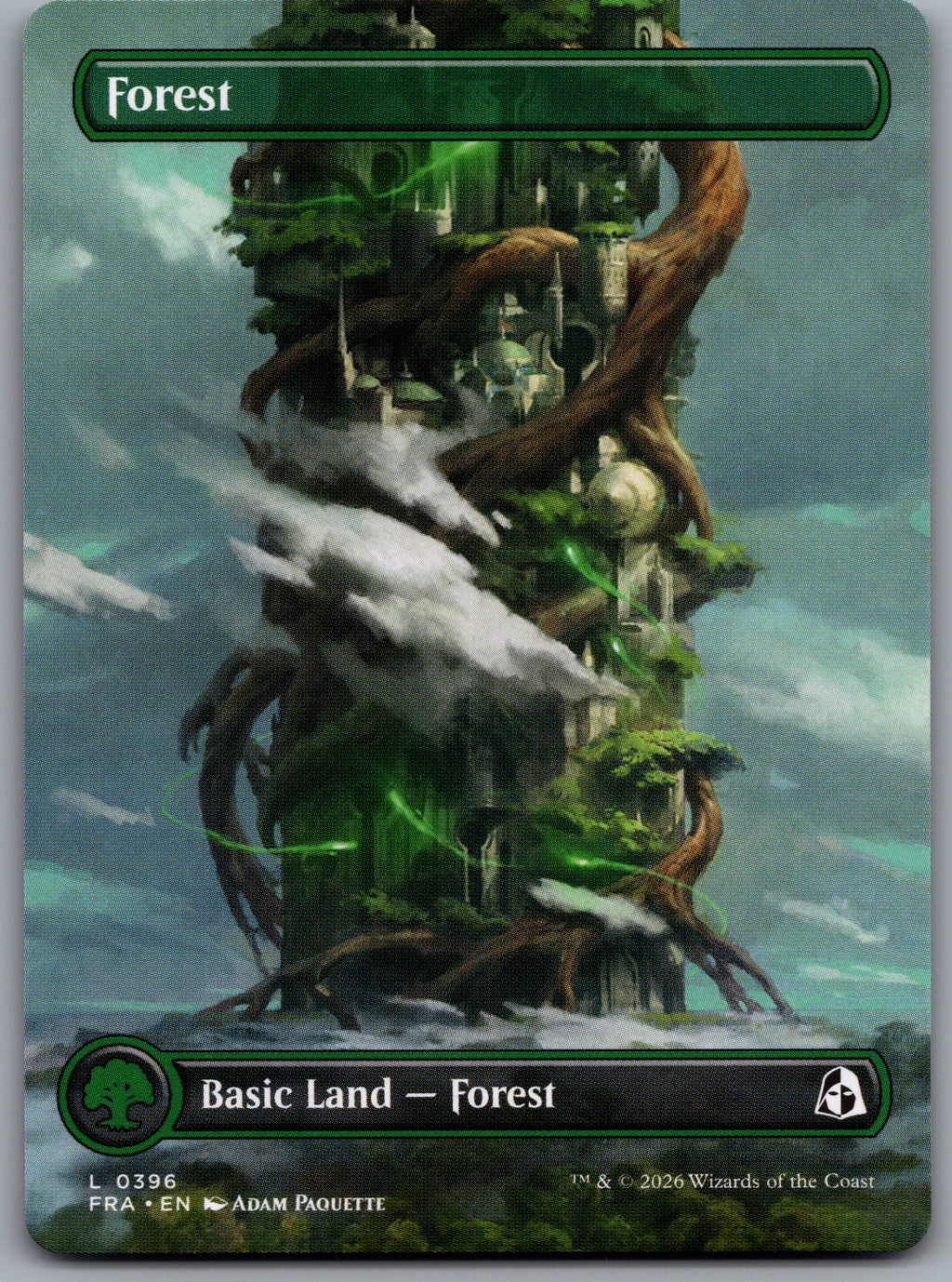 Forest (Borderless) (0396)