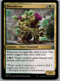 Bloombrute