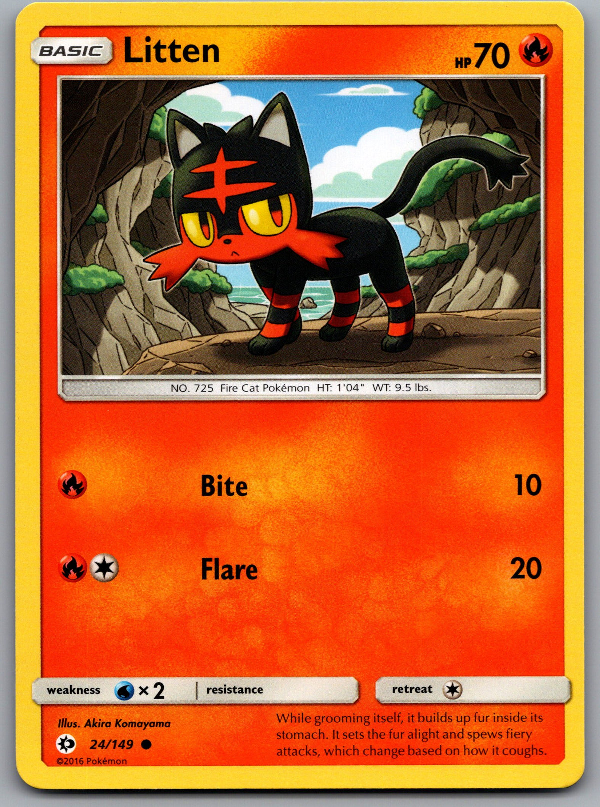 Litten | Near Mint / English / Normal
