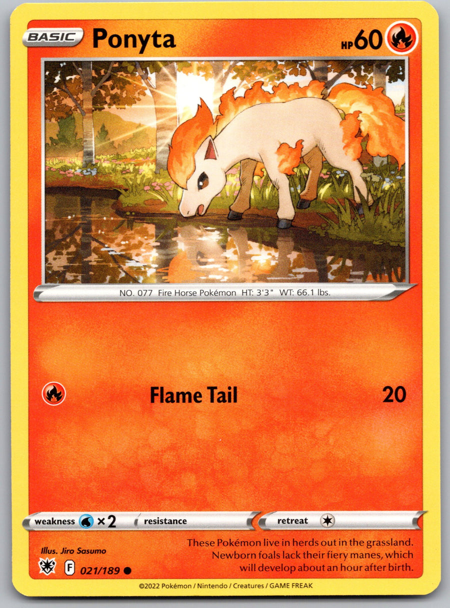 Ponyta