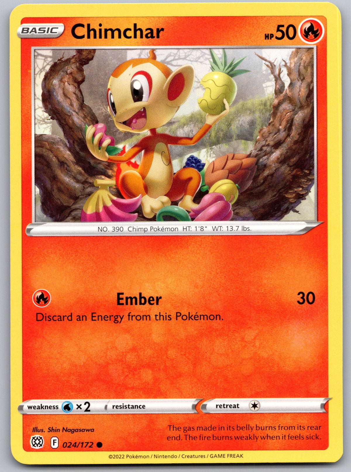 Chimchar