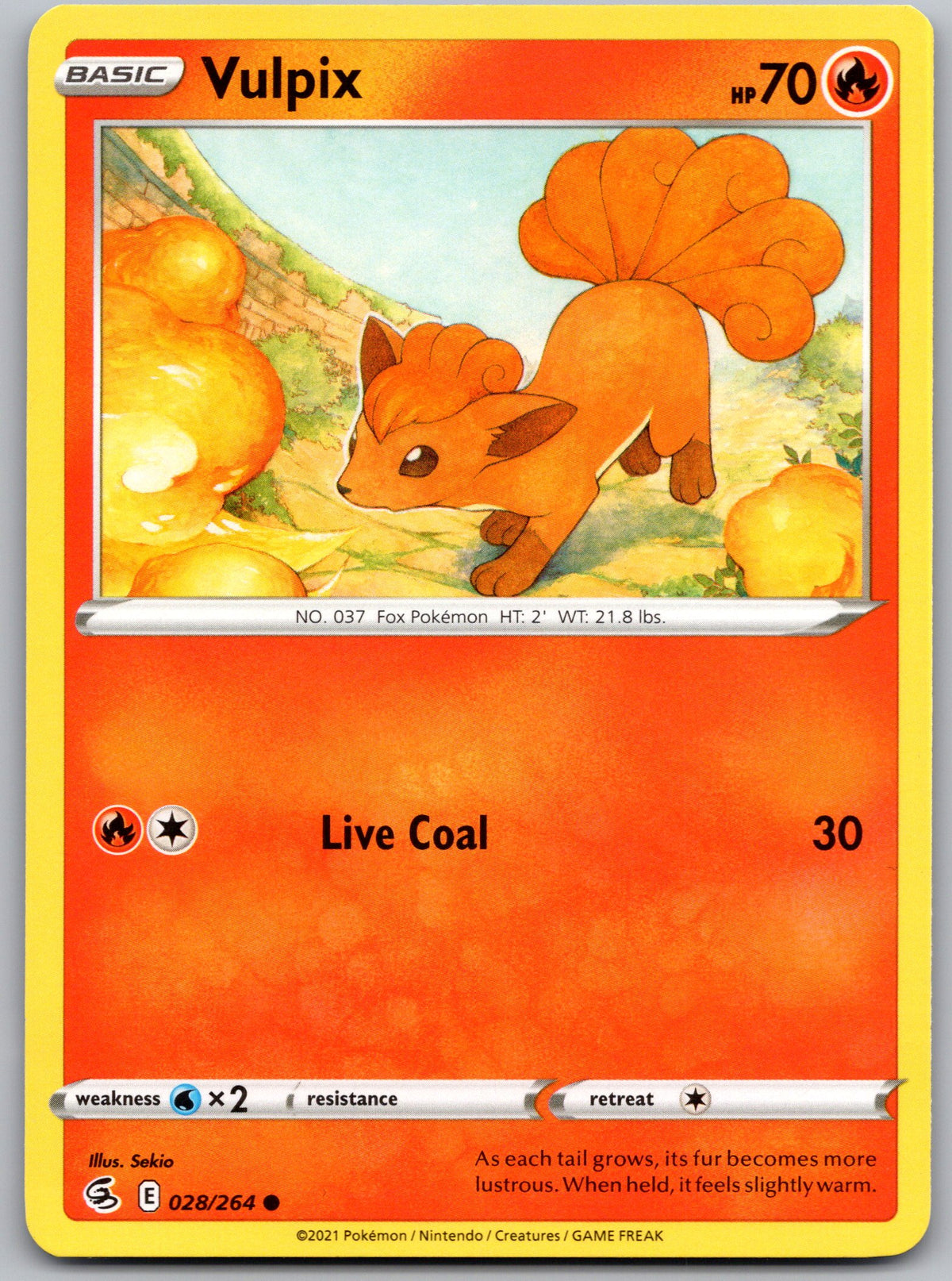 Vulpix (28)
