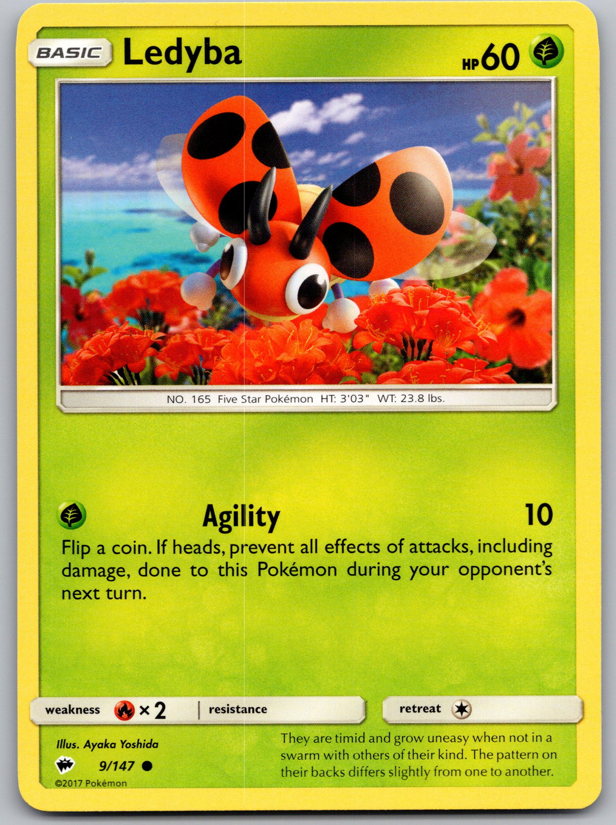Ledyba