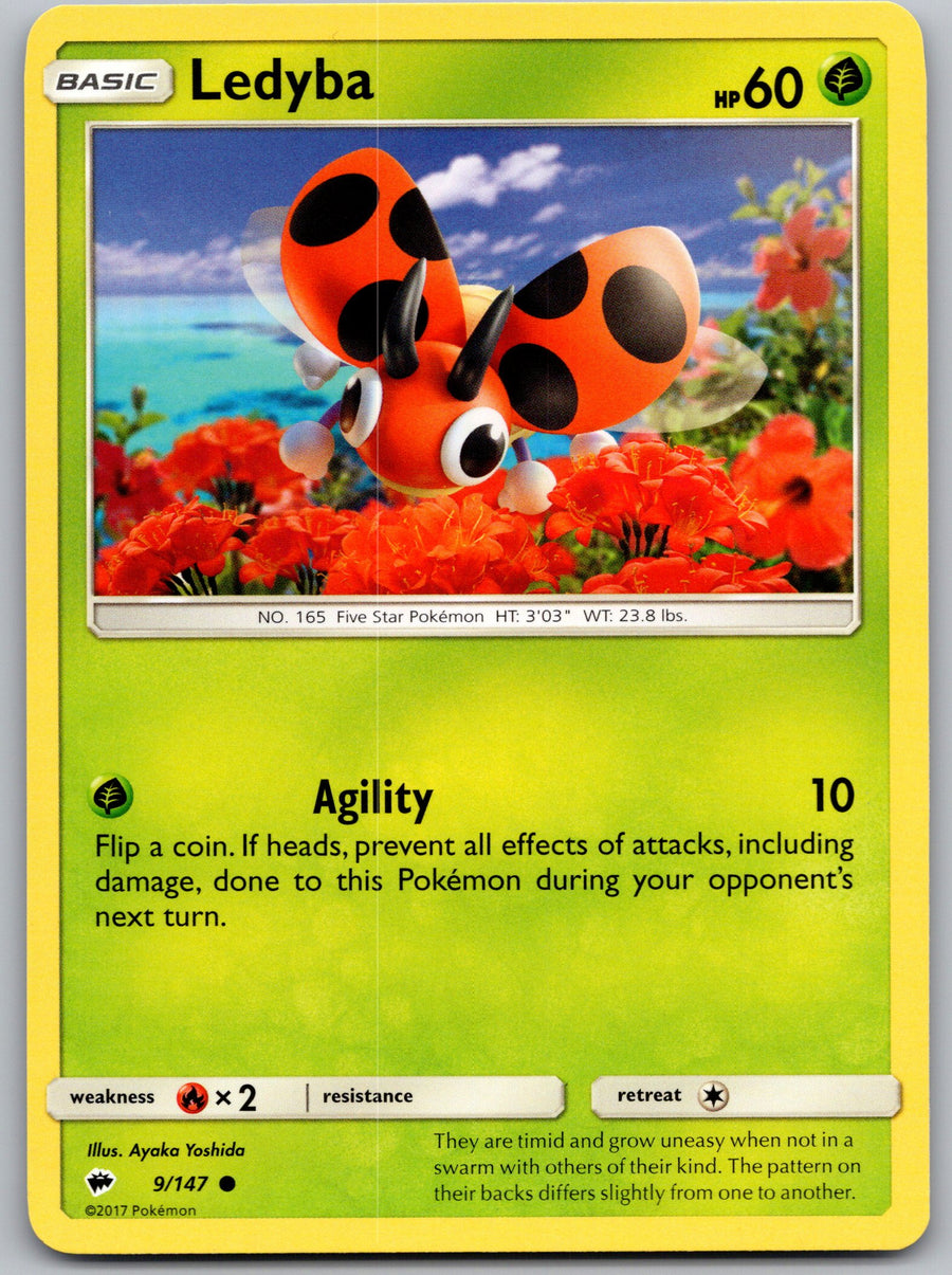 Ledyba