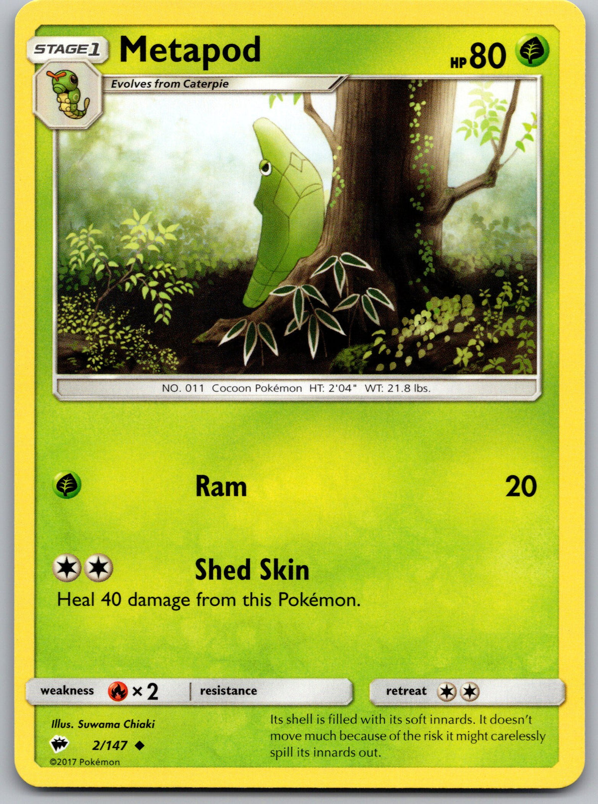 Metapod