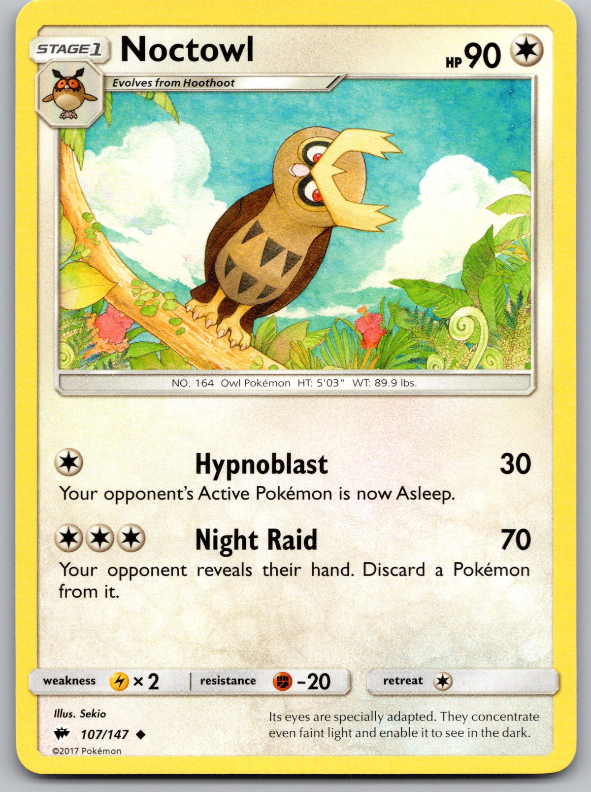 Noctowl