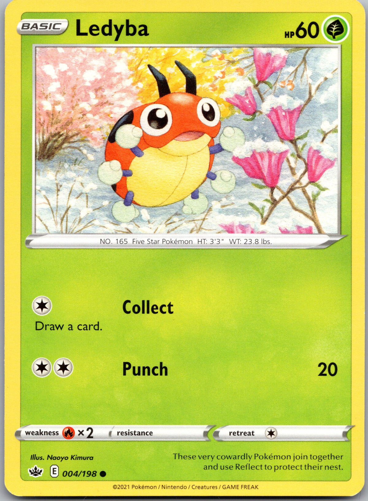 Ledyba