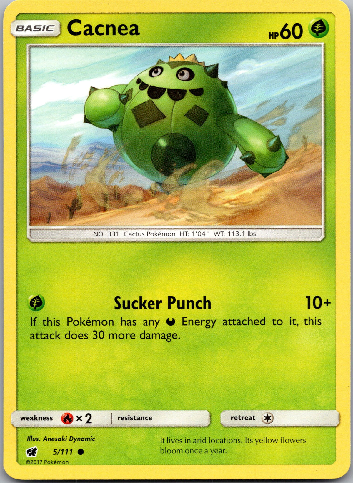 Cacnea